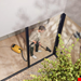  جارو برقی میله آلمان Miele Guard M1 Sunsetgelb SVWF6