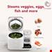  پلوپز هوشمند چند کاره کیچن اید آمریکا kitchenaid KGC3155PL Rice Cooker سفید