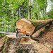  اره زنجیری بنزینی چوب بر 63 سانتیمتر اشتیل آلمان Stihl MS 881 63cm