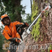  اره زنجیری بنزینی 50 سانتیمتری اشتیل آلمان Stihl MS 500i RS 50 cm