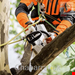  اره زنجیری شارژی چوب بر 30 سانتیمتر بدون باتری شارژر سانتیمتری اشتیل آلمان Stihl MSA 161 T 30cm (ohne Akku und Ladegerät)