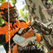  اره زنجیری شارژی چوب بر 30 سانتیمتر بدون باتری شارژر سانتیمتری اشتیل آلمان Stihl MSA 161 T 30cm (ohne Akku und Ladegerät)