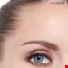  سایه چشم کوکو شنل (فرانسه) LES BEIGES