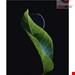  اسپری مرطوب کننده صورت ایو سن لورن (فرانسه) TOP SECRETS SPRAY FIXATEUR DE MAQUILLAGE HYDRATANT