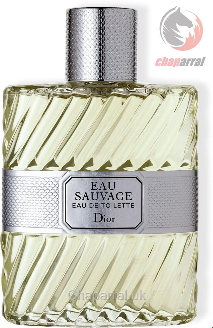 عطر ادو تویلت مردانه ادو ساواژ 400 میل دیور فرانسه Dior Eau Sauvage Eau de Toilette 400ml