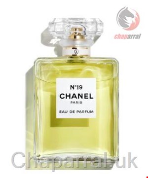 عطر ادو پرفیوم  N19 زنانه 100 میل شنل فرانسه CHANEL N19 EAU DE PARFUM ATOMIZER  100 ml