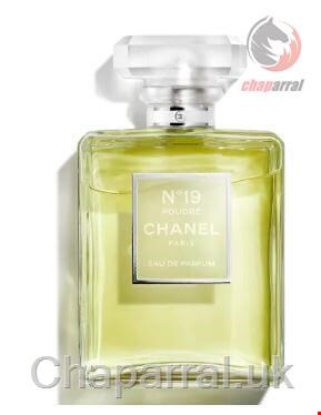 عطر ادو پرفیوم N19 پودری زنانه 100 میل شنل فرانسه CHANEL N19 POUDRE EAU DE PERFUME ATOMIZER 100 ml