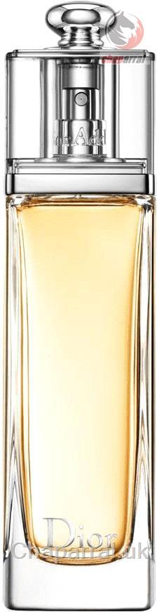Dior addict eau de toilette 100ml discount