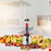  مخلوط کن آاگ آلمان AEG SB4PS 