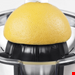 آب مرکبات گیری کاسو آلمان CASO CP 300