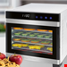  خشک کن میوه پروفی کوک آلمان ProfiCook PC-DR 1218 Edelstahl-Dörrautomat