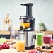  آبمیوه گیری گاستروبک آلمان  Gastroback Slow Juicer Advanced Vital 40145