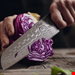  چاقو آشپزخانه 31.4 سانتیمتری زلیت آلمان Zelite Infinity by Klarstein Wave 7 Santokumesser Messer Braun