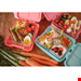  ظرف غذا و اسنک کودک کلارشتاین آلمان Klarstein schmatzfatz easy Snackbox Lunchbox Rosa