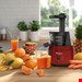  آبمیوه گیری مولینکس فرانسه Moulinex ZU150510