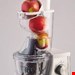  آبمیوه گیری آریته ایتالیا Ariete Centrika Slow Juicer Metal 177