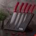   ست چاقو آشپزخانه 6 پارچه برلینگر هاوس مجارستان  BERLINGER HAUS 6-PIECE KNIFE SET  BH-2519 BURGUNDY COLLECTION