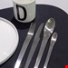 سرویس قاشق چنگال 16 پارچه جورج جنس دانمارک Georg Jensen Arne Jacobsen Besteck-Set 16-teilig