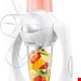  مخلوط کن اسموتی ساز پرینسس هلند Princess 01.212063.01.001 Smoothie Maker