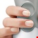 گوشت کوب برقی بوش آلمان Bosch MSM66120 ErgoMixx