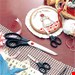  قیچی خانگی 19 سانت زولینگ آلمان ZWILLING Twin L Haushaltsschere (19 cm)