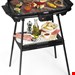  گریل باربیکیو پرینسس هلند PRINCESS Tischgrill Princess Elektrogrill Schwarz 2000 W 112247