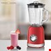  مخلوط کن پروفی کوک آلمان ProfiCook Standmixer PC-UM 1195- 800 W