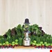  آبمیوه گیری سیج انگلستان Sage Slow Juicer the Big Suqeeze SJS700SIL4EEU1