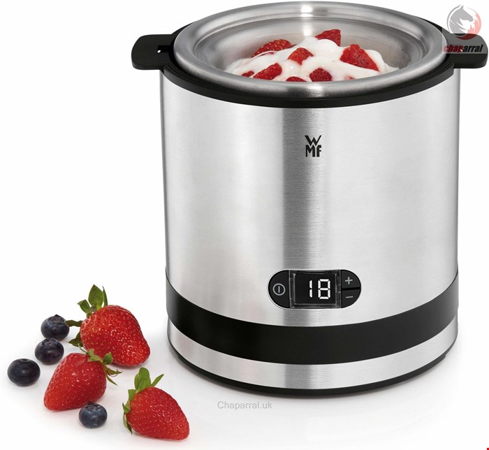 بستنی ساز وی ام اف آلمان WMF Eismaschine 