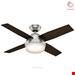  پنکه برقی سقفی هانتا Hunter Deckenventilator Dante Chrom gebürstet 112cm mit Fernbedienung