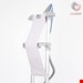  اتو بخارگر ایستاده اچ کونیگ H.Koenig STM45 standing steamer / consistent steam