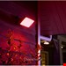  چراغ پروژکتور ال ای دی فیلیپس هلندPhilips Hue White and Color Ambiance Discover LED -17435-30-P7 