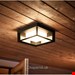  چراغ دیواری ال ای دی فیلیپس هلند Philips Hue White and Color Ambiance Econic LED -17438/30/P7