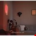  چراغ دیواری ال ای دی فیلیپس  Philips Hue LED Wandleuchte -Hue Liane- weiß