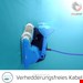  جارو رباتیک استخری دلفین Dolphin F60 -Modell 2021