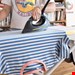  اتو بخار کرشر آلمان Kärcher 28633100 Steam Pressure EasyFinish Iron