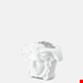  گلدان ورساچه ایتالیا VERSACE MEDUSA GRANDE VASE 9 CM