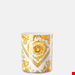  گلدان ورساچه ایتالیا VERSACE MEDUSA RHAPSODY VASE 18 CM