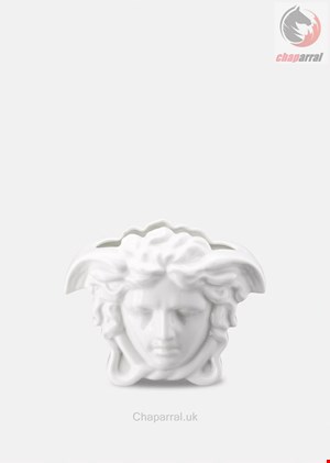 گلدان ورساچه ایتالیا VERSACE  MEDUSA GRANDE VASE 15 CM