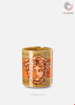 گلدان ورساچه ایتالیا VERSACE MEDUSA AMPLIFIED VASE 18 CM