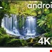  تلویزیون 50 اینچ ال ای دی هوشمند تی سی ال TCL 50P616X1 LED-Fernseher -126 cm/50 Zoll- 4K Ultra HD