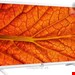  تلویزیون 32 اینچ ال ای دی هوشمند ال جی LG 32LM6380PLC LED-Fernseher -80 cm/32 Zoll 