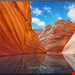  تلویزیون 55 اینچ ال ای دی هوشمند سونی Sony KD-55X81J LCD-LED Fernseher -139 cm/55 Zoll- 4K Ultra HD 