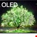  تلویزیون 48 اینچ ال ای دی هوشمند ال جی  LG OLEDA19LA OLED48A19LA