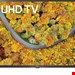 تلویزیون 55 اینچ ال ای دی هوشمند ال جی  LG 55UP75009LF LCD-LED Fernseher-139 cm/55 Zoll 