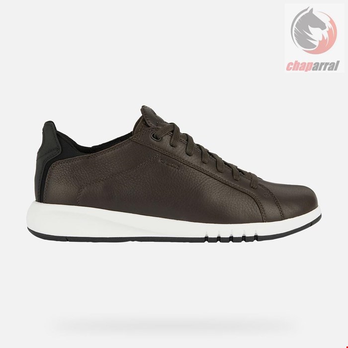  کتانی مردانه جی اوکس GEOX NIEDRIGE SNEAKERS Aerantis Herr Testa Di Moro/Schwarz