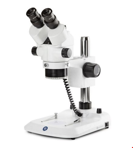 میکروسکوپ یورومکس هلند Euromex StereoBlue SB.3903-P