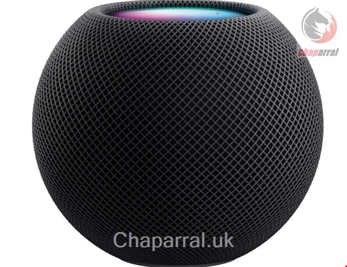 هوم پاد مینی اسپیکر اپل آمریکا Apple HomePod mini Space grau